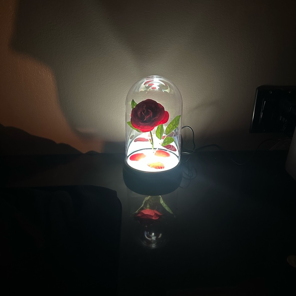 🌹Beauty and the Beast Enchanted Rose Light